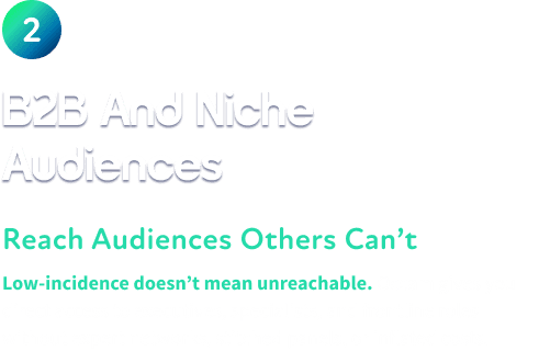 B2B and niche audiences content
